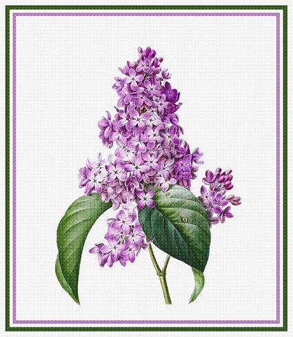 Orenco Originals Lilac Flower by Pierre-Joseph Redoute Counted Cross Stitch Pattern in Saudi Arabia