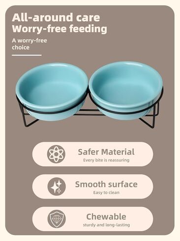 GDCZ Ceramics Raised Cat Small Dog Bowls with Heighten Metal Stand for Pet Food and Water Dishes, 15 Ounces (Black) in Saudi Arabia