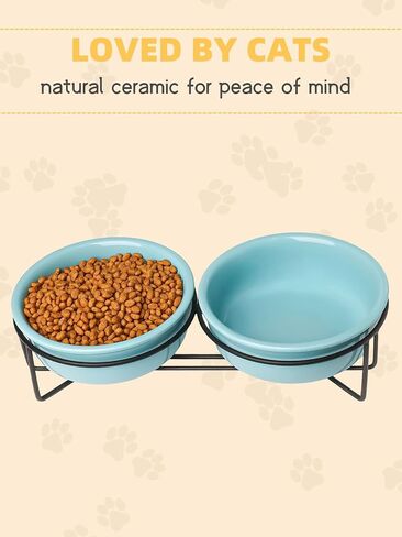 GDCZ Ceramics Raised Cat Small Dog Bowls with Heighten Metal Stand for Pet Food and Water Dishes, 15 Ounces (Black) in Saudi Arabia