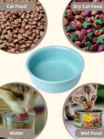 GDCZ Ceramics Raised Cat Small Dog Bowls with Heighten Metal Stand for Pet Food and Water Dishes, 15 Ounces (Black) in Saudi Arabia