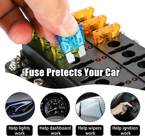 180 PCS Car Fuses Assortment Kit, Blade Fuses Automotive, Standard & Micro & Low Profile Mini Fuse with Fuse Puller for Truck, Boat, RV (2 A 3 A 5 A 7.5 A 10 A 15 A 20 A 25 A 30 A 35 A 40 A) in Saudi Arabia