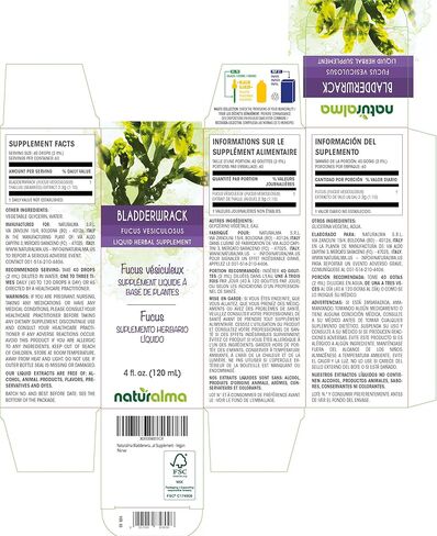 Naturalma Bladderwrack or Sea oak (Fucus vesiculosus) thallus (seaweed) Alcohol-free Tincture - 4 fl oz Liquid extract in drops - Herbal supplement - Vegan in Kuwait