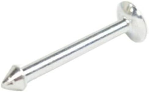 KarParts360 For Dodge Dakota 2003 2004 Brake Shoe Hold Down Pin Driver OR Passenger Side | Single Piece in Saudi Arabia