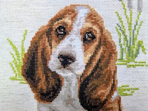 RIOLIS 1578 - Basset Hound Puppy - Counted Cross Stitch Kit 10" x 15" 10 Count Flaxen AIDA 23 Colors in Saudi Arabia