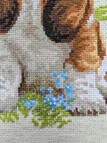 RIOLIS 1578 - Basset Hound Puppy - Counted Cross Stitch Kit 10" x 15" 10 Count Flaxen AIDA 23 Colors in Saudi Arabia