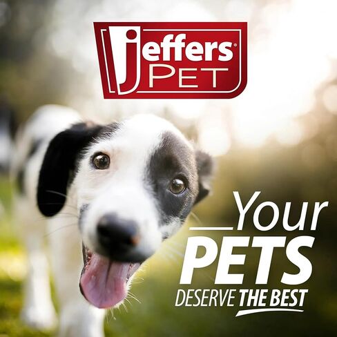Jeffers Little Dotz Dog Toys, 2-Pack in Saudi Arabia