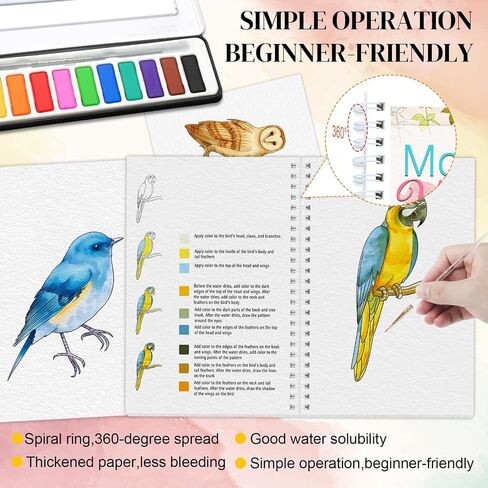Watercolor Workbooks with Step by Step for Adults Teens - 2 Pack Beginner workbooks with 24 Coloring Book Pages - 12 color blocks and a Brush - Watercolor Paper 300gsm/140lb (birds & flower) in Saudi Arabia
