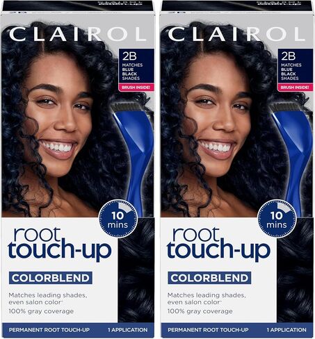 Clairol Root Touch-Up by Nice'n Easy Permanent Hair Dye, 2 Black Hair Color, Pack of 2 in Kuwait