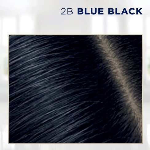 Clairol Root Touch-Up by Nice'n Easy Permanent Hair Dye, 2 Black Hair Color, Pack of 2 in Kuwait