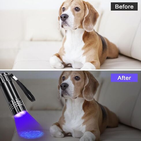 12 Pieces Blacklight Flashlights LED UV Handheld Mini Black Light Flashlight Small Portable UV Light Detector UV Flashlight 395nm 9 LED Light Torch for Pet Urine and Dry Stain, Not Included Battery in Saudi Arabia