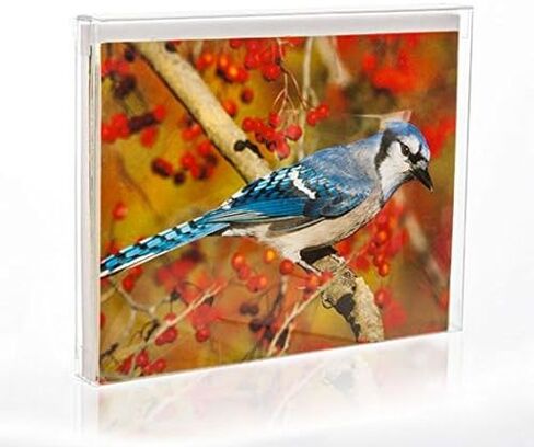 ClearBags Crystal Clear Greeting Card Boxes, 25 Pack, Box Case for Cards, Envelopes, Party Favors, Treats, Photo Storage, Gift Holder, Stationery Organizer, Small Business Packaging & Supplies, FB27A in Kuwait