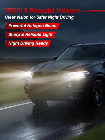 مصابيح هالوجين أمامية H11، 12 فولت 55 وات، أبيض دافئ 3800 كلفن، شعاع عالٍ ومنخفض، متوافق مع ضوء الضباب، بدون وهج، مصابيح أمامية للسيارات، عبوة من 2 in Kuwait
