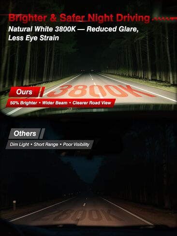 مصابيح هالوجين أمامية H11، 12 فولت 55 وات، أبيض دافئ 3800 كلفن، شعاع عالٍ ومنخفض، متوافق مع ضوء الضباب، بدون وهج، مصابيح أمامية للسيارات، عبوة من 2 in Kuwait