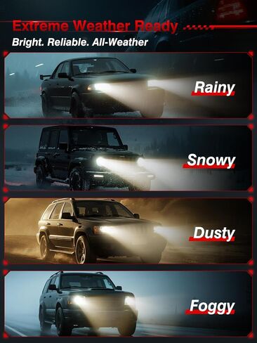 مصابيح هالوجين أمامية H11، 12 فولت 55 وات، أبيض دافئ 3800 كلفن، شعاع عالٍ ومنخفض، متوافق مع ضوء الضباب، بدون وهج، مصابيح أمامية للسيارات، عبوة من 2 in Kuwait