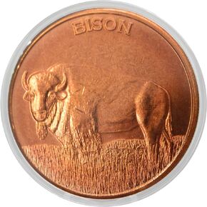 African Wildlife Lion 1 oz Pure .999 Copper Round Collectible Coin in Capsule - COA by Heavenly Metals