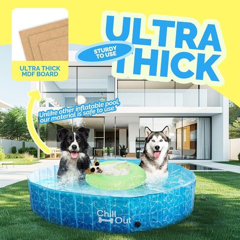 ALL FOR PAWS Dog Pool، حمامات سباحة للكلاب الكبيرة 160 سم، حمام سباحة قابل للطي من الألواح الليفية عالي الكثافة، حمام سباحة داخلي وخارجي للكلاب والأطفال in Saudi Arabia