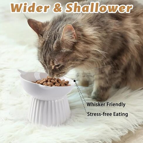 Ceramic Raised Cat Bowl，Tilted Raised Cat Bowl Anti Vomit Cat Bowls for Indoor Cats Whisker Friendly Pet Feeder for Cats Puppies, Microwave and Dishwasher Safe in Saudi Arabia