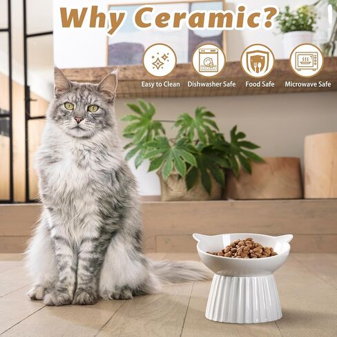 Ceramic Raised Cat Bowl，Tilted Raised Cat Bowl Anti Vomit Cat Bowls for Indoor Cats Whisker Friendly Pet Feeder for Cats Puppies, Microwave and Dishwasher Safe in Saudi Arabia
