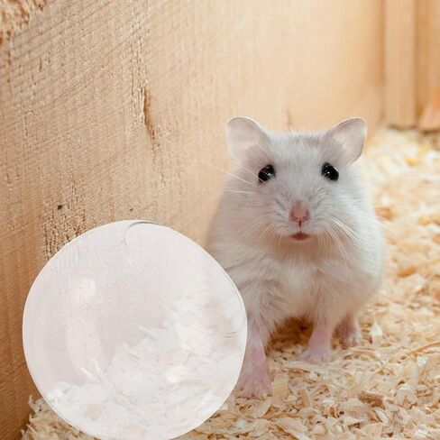 BCOATH 1pc Hamster Glass House Bathtub Decor Summer Table Decor Dining Table Decor Small Pet House Chinchilla Dust Bath House Ceramic Chinchilla Hideout Chinchilla Cool Nest Pet Supplies in Saudi Arabia