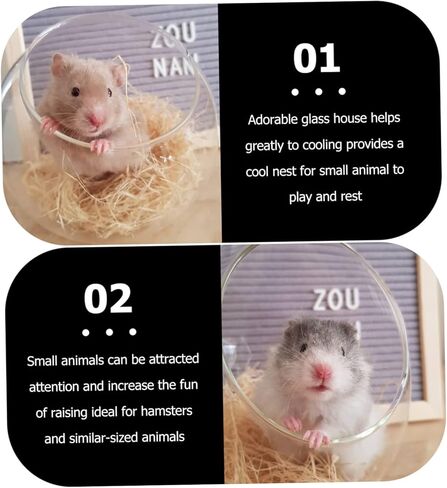 BCOATH 1pc Hamster Glass House Bathtub Decor Summer Table Decor Dining Table Decor Small Pet House Chinchilla Dust Bath House Ceramic Chinchilla Hideout Chinchilla Cool Nest Pet Supplies in Saudi Arabia