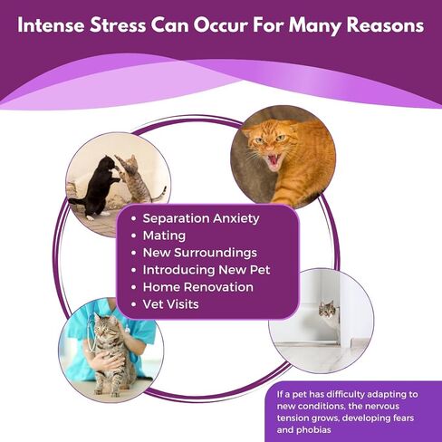 Pet Zephyr Cat Calming Pheromone Diffuser - Diffuser & Refill 30 Days - Anxiety Relief Cat Essentials Products - Calm Cats Accessories - Pet Corrector Diffusers - Cat Pee Prevention Supplies in Saudi Arabia