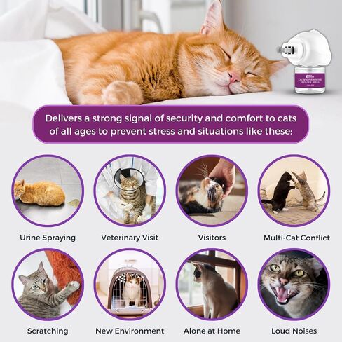Pet Zephyr Cat Calming Pheromone Diffuser - Diffuser & Refill 30 Days - Anxiety Relief Cat Essentials Products - Calm Cats Accessories - Pet Corrector Diffusers - Cat Pee Prevention Supplies in Saudi Arabia