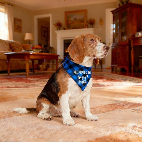 Family Kitchen I Thought I was The Baby Pregnancy Announcement Triangle Red Plaid Pet Dog Bandana, Gender Reveal Photo Prop Pet Scarf for Pet Birthday Gift in Kuwait