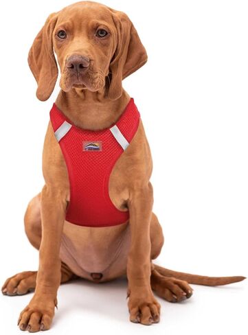 DOGGIE DESIGN Choke Free Reflective Step in Ultra Harness American River and Colors (Small, Raspberry Sundae) in Saudi Arabia