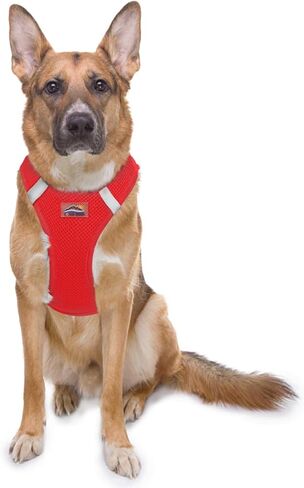 DOGGIE DESIGN Choke Free Reflective Step in Ultra Harness American River and Colors (Small, Raspberry Sundae) in Saudi Arabia