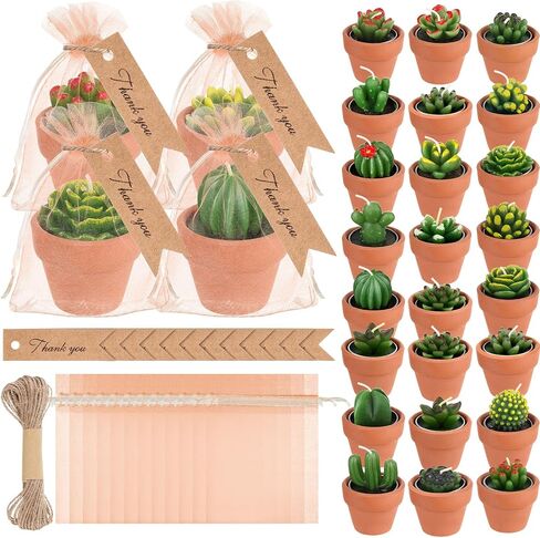 MTLEE 48 Pcs Succulent Cactus Candles Set Mini Tealight Candles Baby Shower Cactus Decorations Plant Candle with Mini Terracotta Clay Gift Tags Organza Bags for Birthday Wedding Party Favors in Saudi Arabia