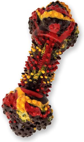 Nylabone Strong Chew Ring Braided Chew Toy for Dogs Beef Medium/Wolf (1 Count) in Saudi Arabia