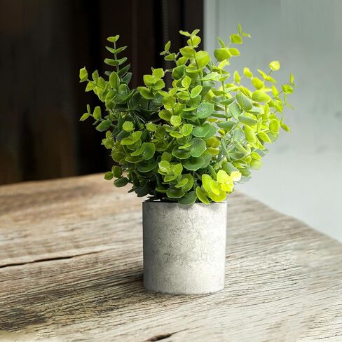 Ferrisland Small Fake Plants Artificial - 2 Pcs Office Desk Faux Plant Potted Decor - Mini Bathroom Indoor Decorations for Home Table Shelf Room Aesthetic in Kuwait