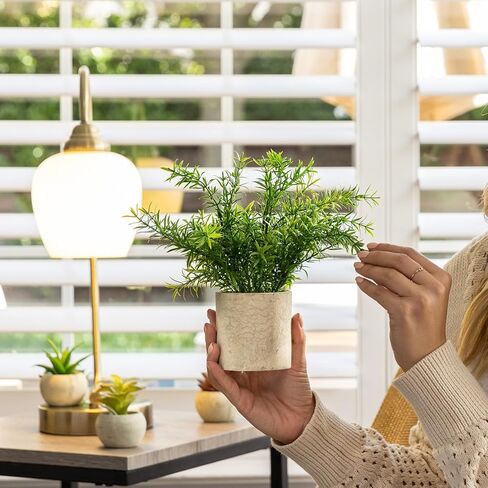 Ferrisland Small Fake Plants Artificial - 2 Pcs Office Desk Faux Plant Potted Decor - Mini Bathroom Indoor Decorations for Home Table Shelf Room Aesthetic in Kuwait