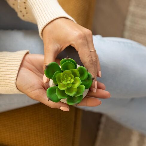 Ferrisland Small Fake Plants Artificial - 2 Pcs Office Desk Faux Plant Potted Decor - Mini Bathroom Indoor Decorations for Home Table Shelf Room Aesthetic in Kuwait