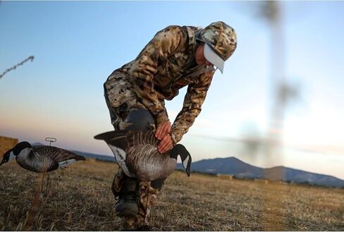 Higdon Outdoors Flats Magnum Canada Motion Silhouette Canada Goose Decoys, 12-Pack in Saudi Arabia