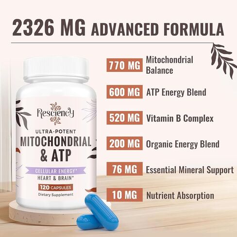 2326 مجم من مكملات الميتوكوندريا مع ATP، والفيتامينات، وCoQ10 وPQQ، أكثر فعالية من الكرياتين HMB وأكسيد النيتريك، والطاقة، والقدرة على التحمل، والقوة، والتعافي والعضلات، عضوي، 120 كبسولة in Kuwait