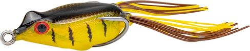 Strike King (SFKVD-46 KVD Sexy Frog Fishing Lure, 46A - Green Pumpkin Gill, 5/8 oz, Sealed Nose in Saudi Arabia