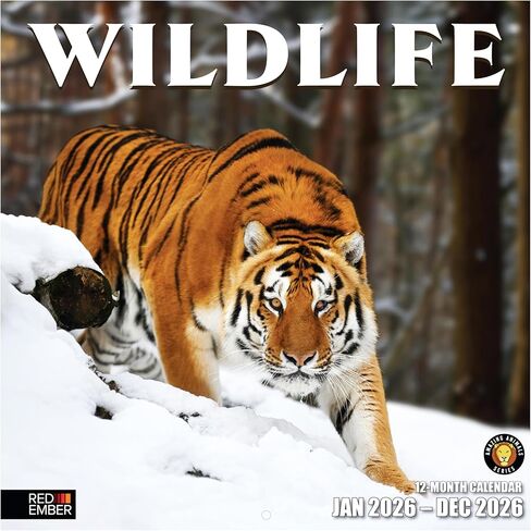تقويم حائط RED EMBER Wildlife 2026 لمدة 12 شهرًا | 12 بوصة × 24 بوصة مفتوح | ورق سميك وقوي | هدية | التقويم 2026 in Kuwait