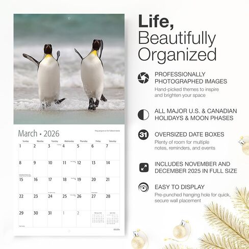 تقويم حائط RED EMBER Wildlife 2026 لمدة 12 شهرًا | 12 بوصة × 24 بوصة مفتوح | ورق سميك وقوي | هدية | التقويم 2026 in Kuwait