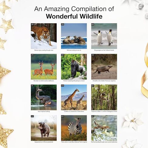 تقويم حائط RED EMBER Wildlife 2026 لمدة 12 شهرًا | 12 بوصة × 24 بوصة مفتوح | ورق سميك وقوي | هدية | التقويم 2026 in Kuwait