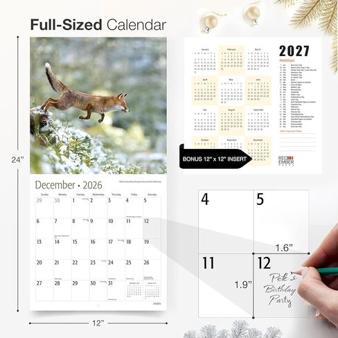 تقويم حائط RED EMBER Wildlife 2026 لمدة 12 شهرًا | 12 بوصة × 24 بوصة مفتوح | ورق سميك وقوي | هدية | التقويم 2026 in Kuwait