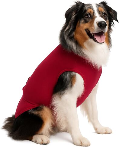 SurgiSnuggly Keeps Disposable Dog Diapers Female OR Male Dog Diaper Wraps On Your Dog, The Original Dog Body Suit is Better Than Dog Suspenders Fits L PP in Kuwait