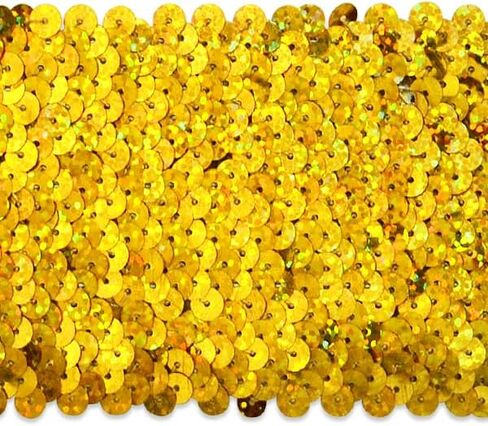 Trims by the Yard 5 Yards of 8 Row Starlight Hologram Stretch Sequin Trim, Silver in Saudi Arabia