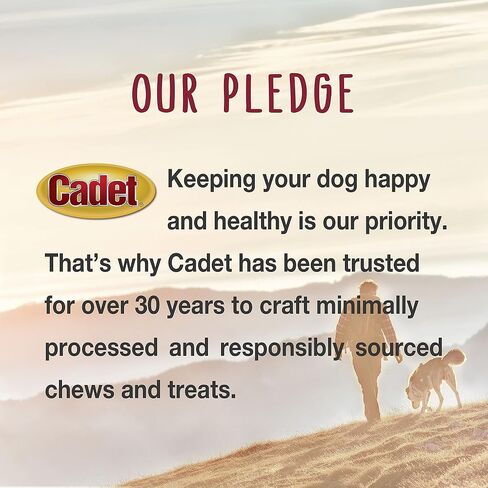 Cadet Beef Hide Knotted Dog Chews Individually Wrapped 13-14" in Saudi Arabia