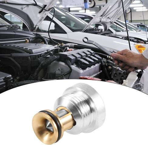 2 قطعة تخفيف ضغط الزيت 059103175F لأودي A4 A5 A6 A8 Q5 2.5L TDI AYM AFB AKN-يستبدل 059103175A in Kuwait