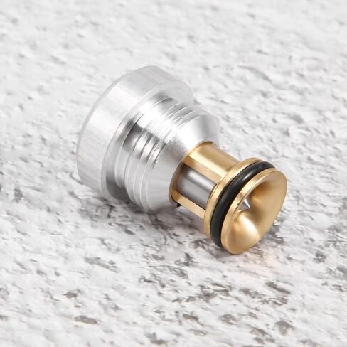 2 قطعة تخفيف ضغط الزيت 059103175F لأودي A4 A5 A6 A8 Q5 2.5L TDI AYM AFB AKN-يستبدل 059103175A in Kuwait