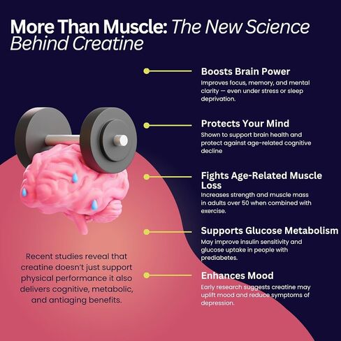 Creatine Monohydrate 5g with BCAAs –Support Muscles, Cellular Energy and Cognitive Function* – Watermelon Micronized Powder – 30 Servings Keto Friendly - Gluten-Free in Saudi Arabia