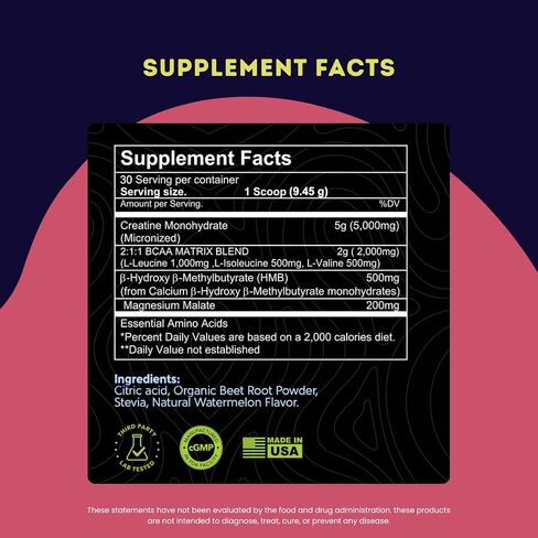 Creatine Monohydrate 5g with BCAAs –Support Muscles, Cellular Energy and Cognitive Function* – Watermelon Micronized Powder – 30 Servings Keto Friendly - Gluten-Free in Saudi Arabia