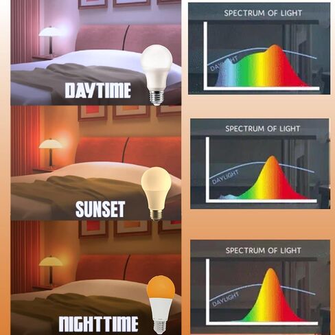 Nite-Nite Light Bulb. Natural Baby Sleep Aid. Promotes Healthy Sleeping Habits for Baby and Mother | Certified by The National Parenting Center. 3 Watt Dimmable, Amber Color - Flicker Free Pack of 1 in Kuwait