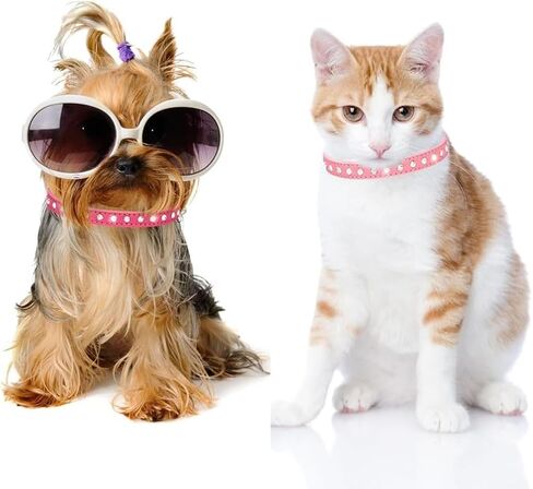 Haoyueer Cute Dazzling Sparkling Elegant Fancy Suede Leather 1 Rows Bling Rhinestone Crystal Jeweled Small Pet Cat Dog Puppy Collar(Purple,M) in Saudi Arabia